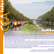 CCA infos n°09
